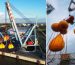 LGH Water bag load test